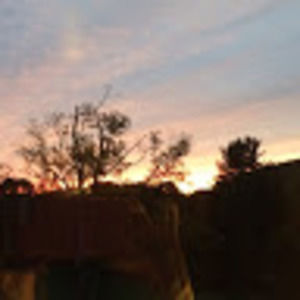 Meet your Posher, Lynette